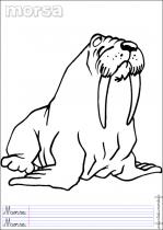 coloriage-morse-1